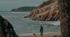 TOP 10 PLACES TO VISIT IN MORRO BAY CALIFORNIA