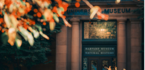 AN CLASSICAL MUSEUM OF NATURAL ART BUILT YEARS AGO STILL STANDING FOR BOSTON TRAVELERS