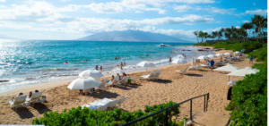 TOURISTS CATCHING THE SUN AND WAVES AT THE HAWAIIAN BEACH