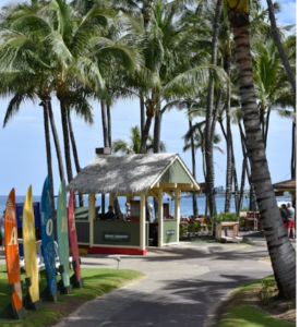 SURF BOARDS LINED UP AS VACATION TRAVELERS VISIT BEAUTIFUL HAWAII