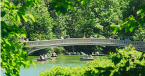NEW YORK CENTRAL PARK