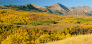 BEAUTIFUL DUCDE RANCH LANDSCAE