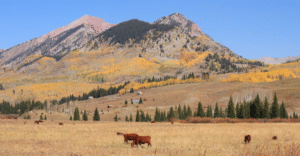 PHOTOGRAPHY OPPORTUNITIES ON THE DUDE RANCH