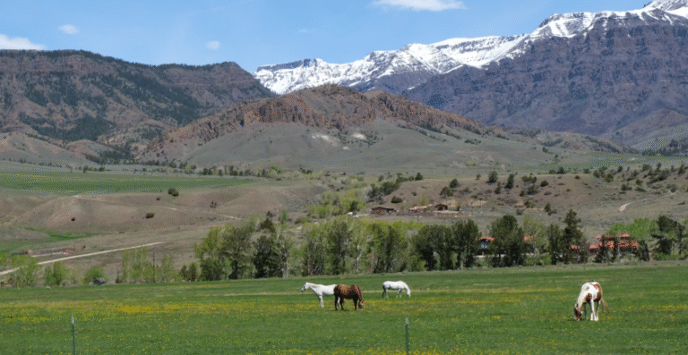 CARBON NEUTRAL BHUTAN