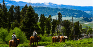 TOP TEN DUDE RANCHES OF COLORADO